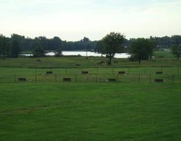 Horseshoe Pit