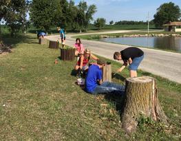 Kids Standing On Stumps